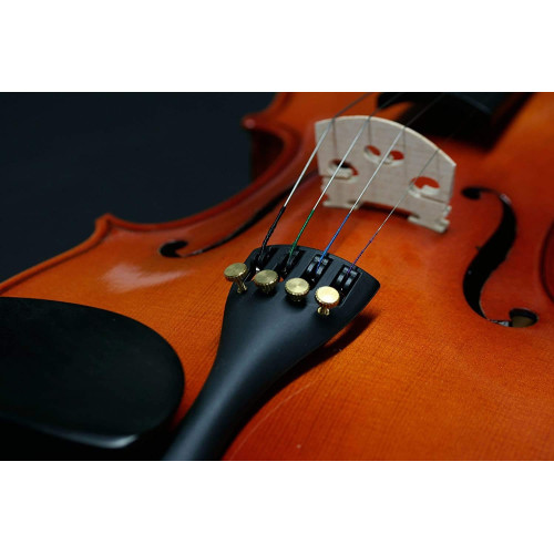 Stentor 1018A Student Standard Outfit 4/4 Violin - Perfect for Beginner Musicians | Stentor