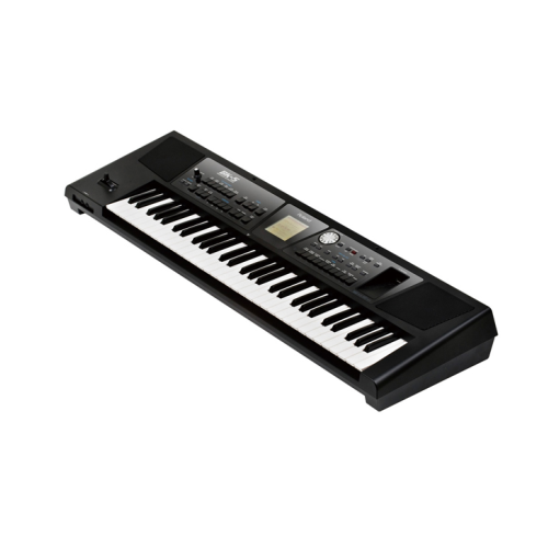 Roland BK-5 Pro Backing Keyboard