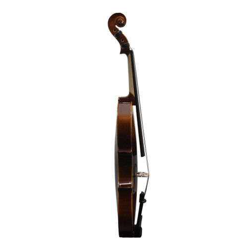 Procraft PR VS 1 German Antique Violin for Best Price in India