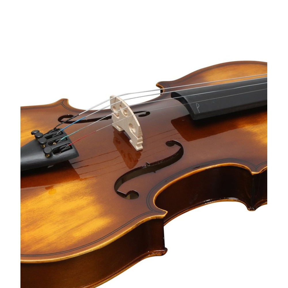 Procraft PR VS 1 German Antique Violin for Best Price in India