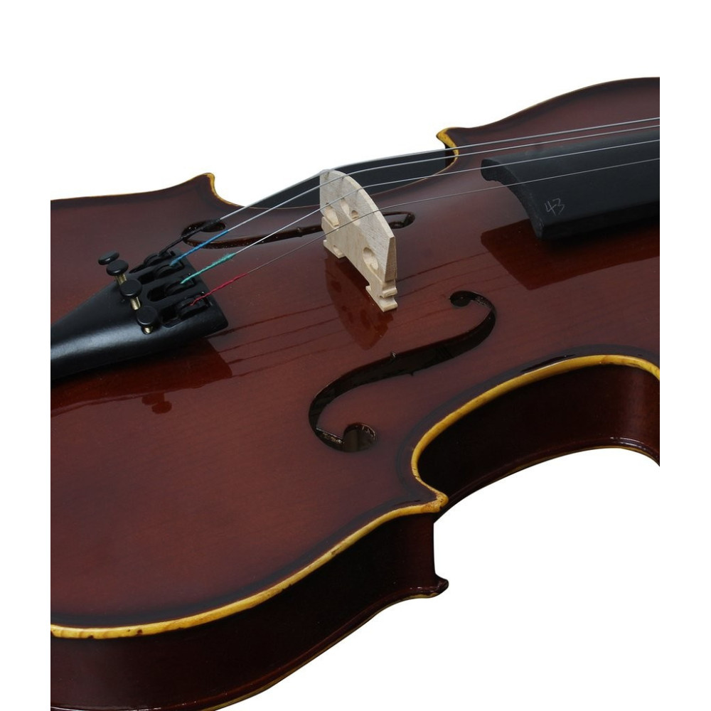 Procraft PR VA1 Natural Violin for Best Price in India only on Music Stores