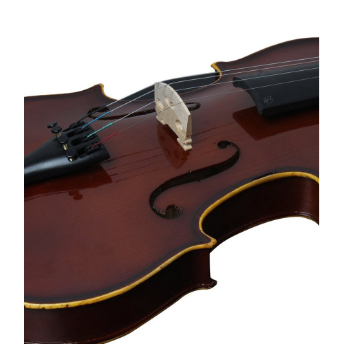 Procraft PR VA1 Natural Violin for Best Price in India only on Music Stores