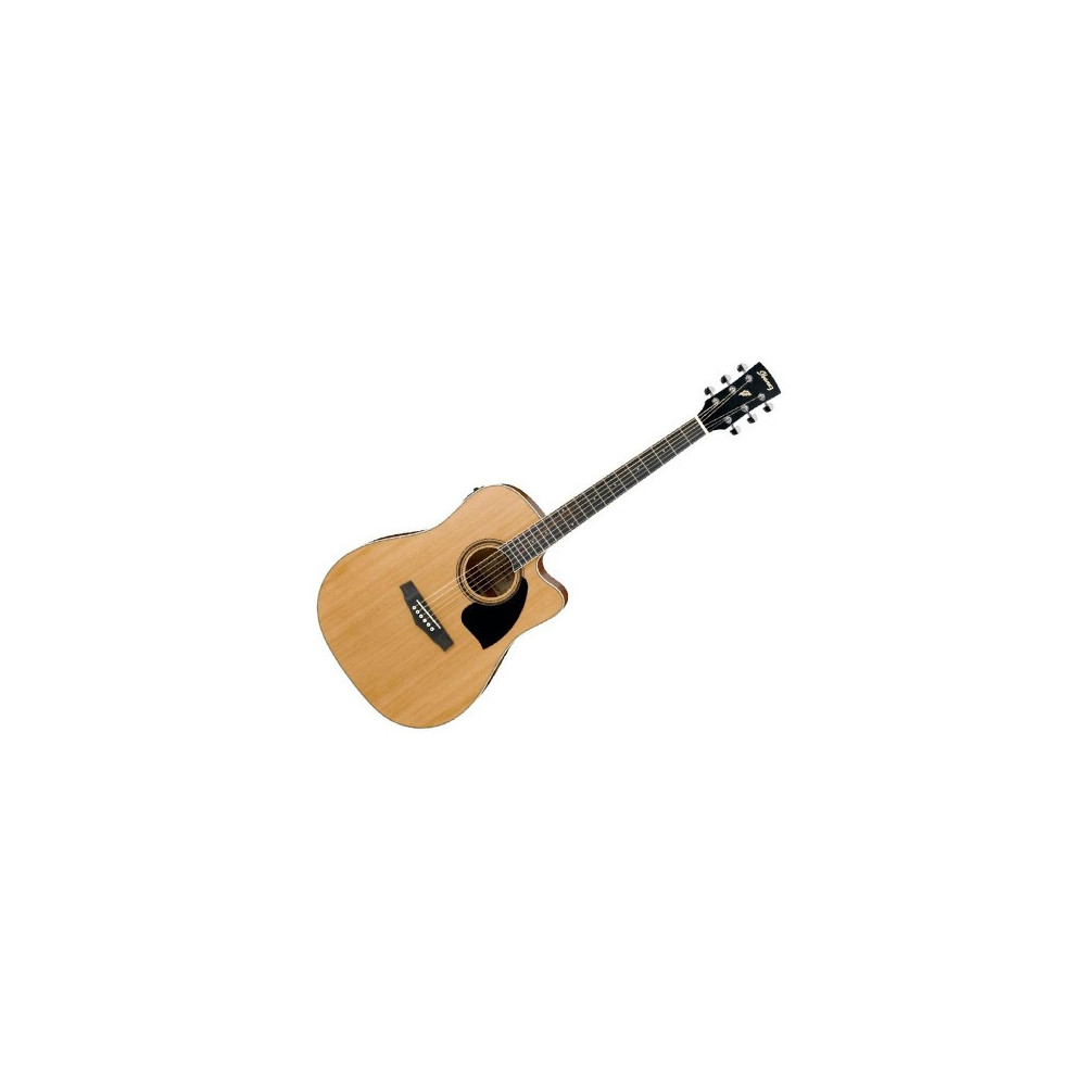 Buy Ibanez PF17ECE-LG Semi Acoustic Guitar for Best Price in India