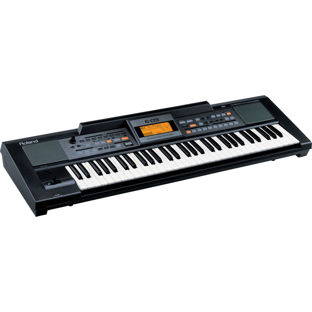 Buy Roland E09IN Arranger Keyboard for Best Price in India