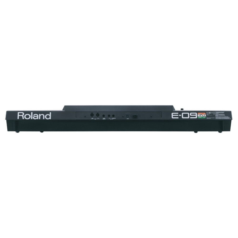 Buy Roland E09IN Arranger Keyboard for Best Price in India