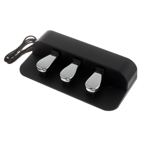 Casio SP34 Sustain Pedal Unit for Best Price in India