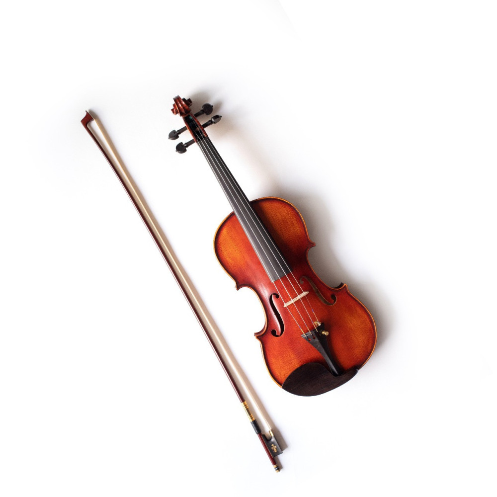 Estevam ESV-Dominant 4/4 Violin