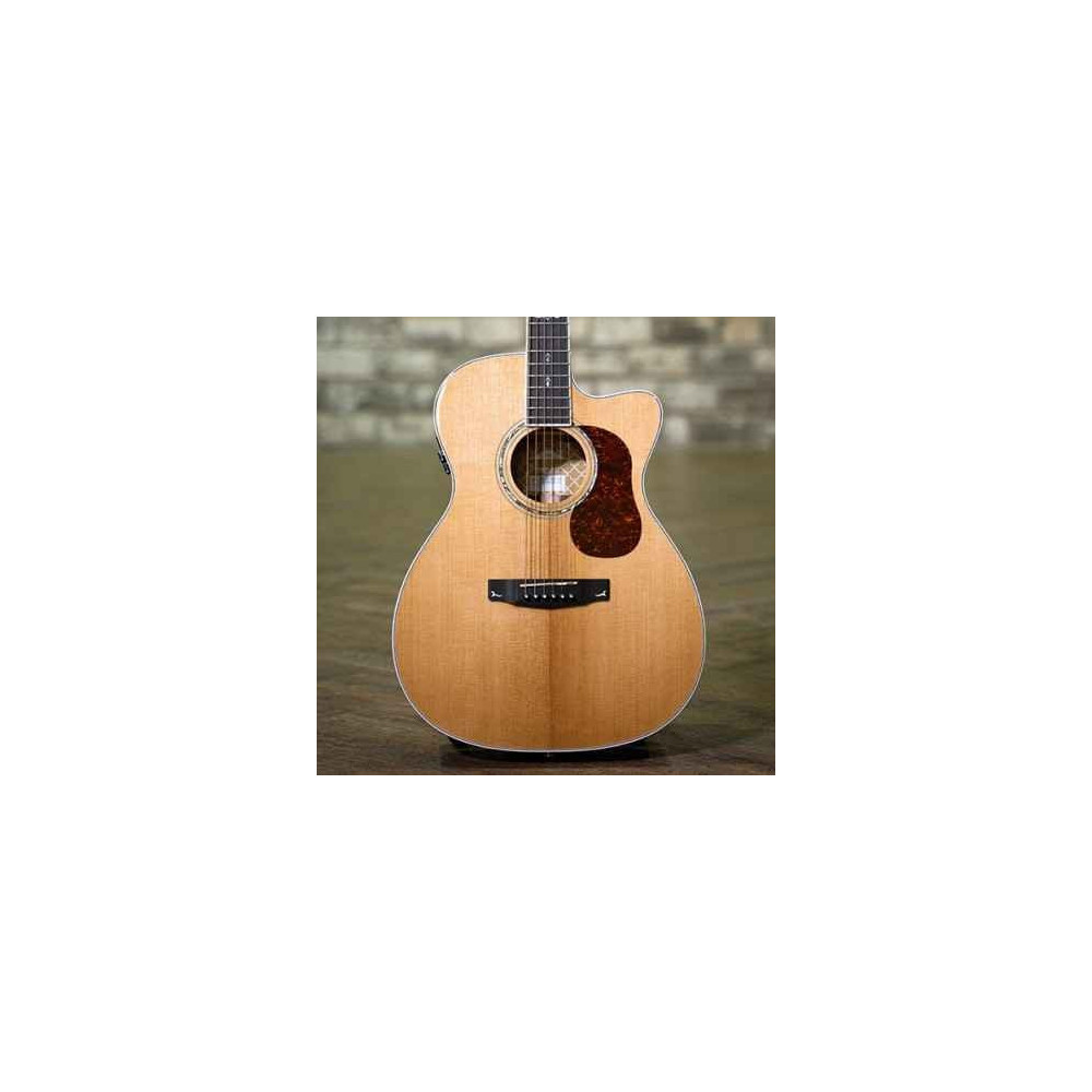 Cort GOLD Series OC8 Electro Acoustic Guitar | Get Your Perfect Tone with Cort |India