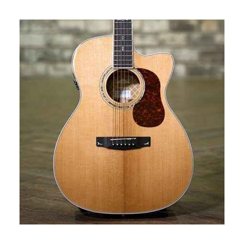 Cort GOLD Series OC8 Electro Acoustic Guitar | Get Your Perfect Tone with Cort |India