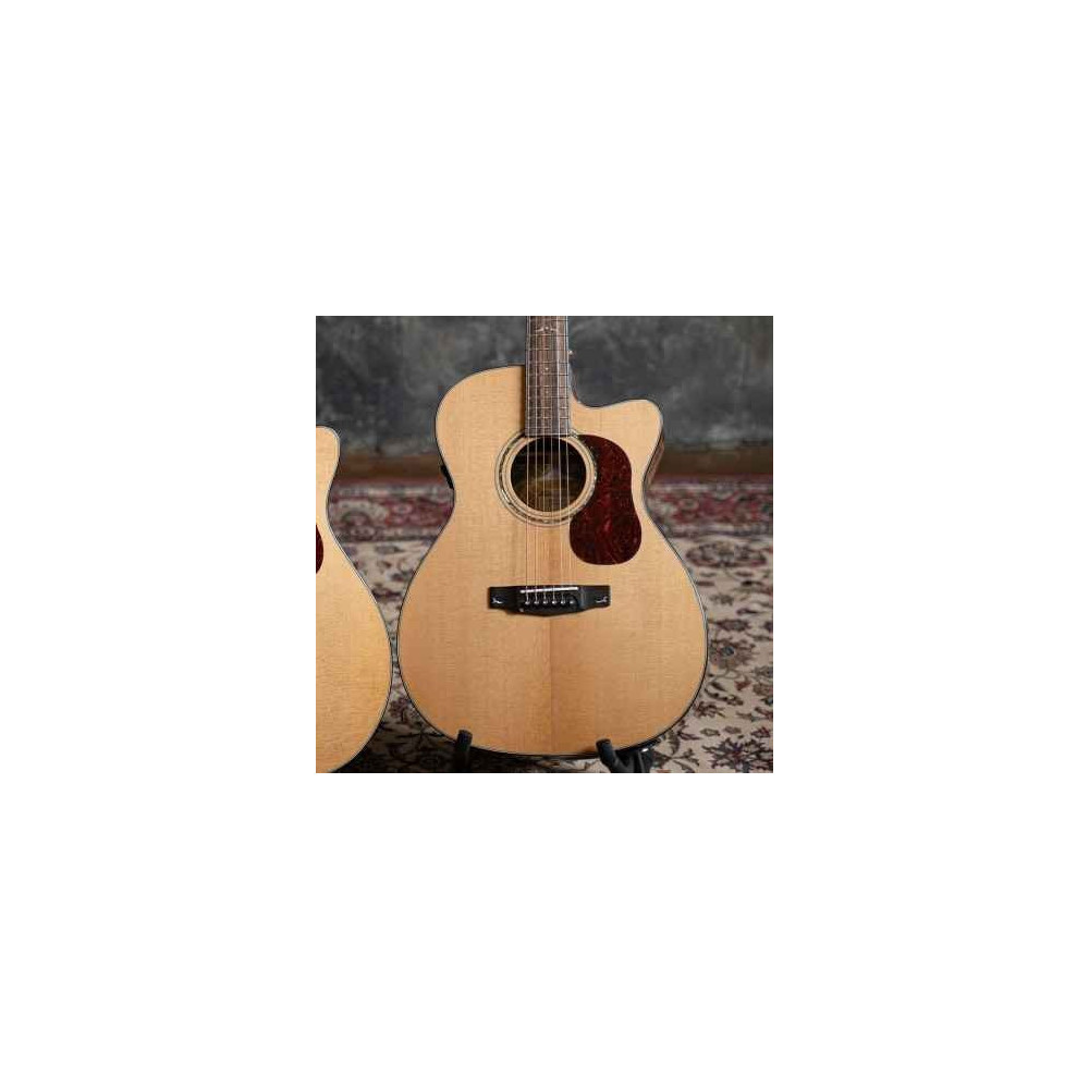 Cort GOLD Series OC6 Electro-Acoustic Guitar-Bocote