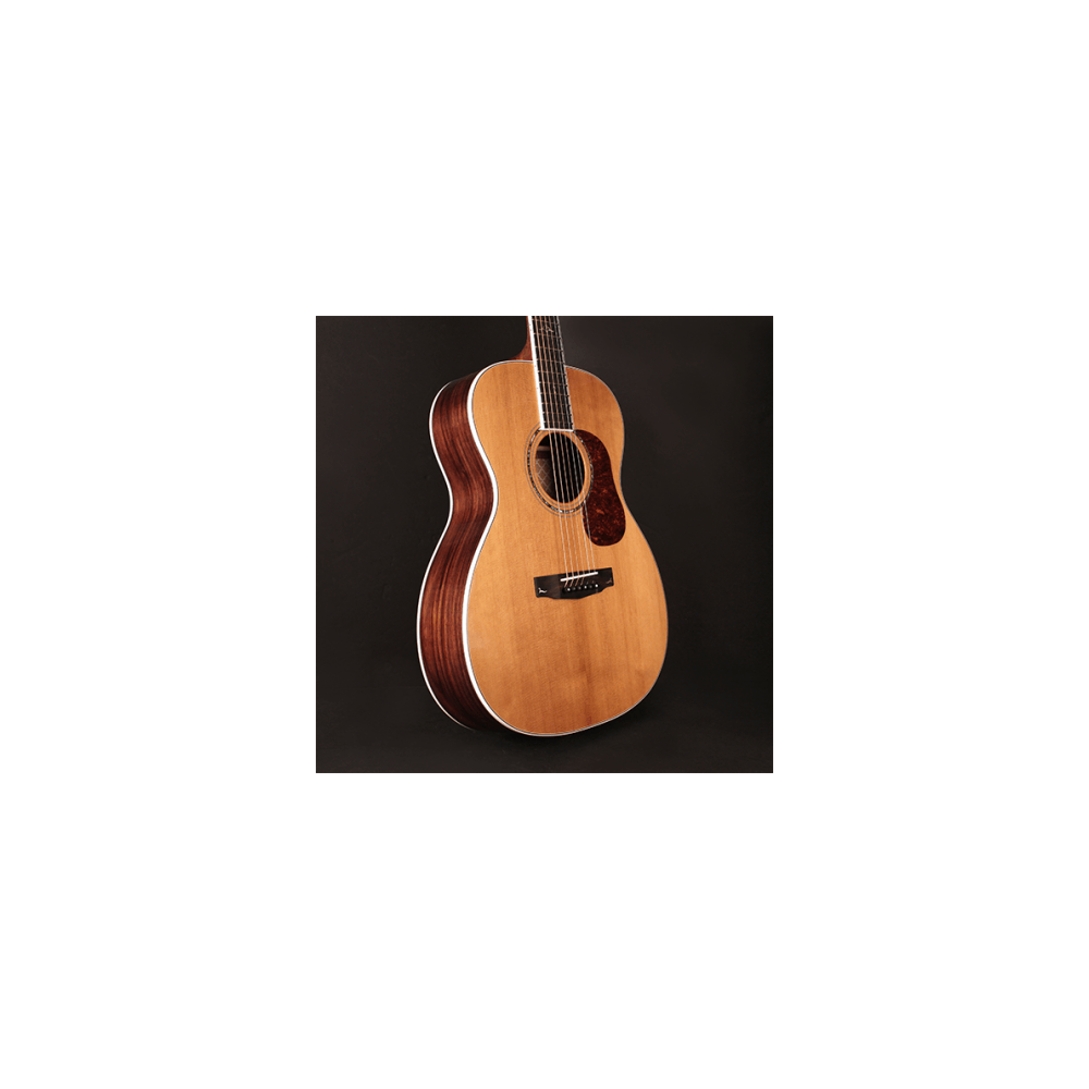 Cort GOLD Series O8 Acoustic Guitar | Perfect Tone & Rich Sound