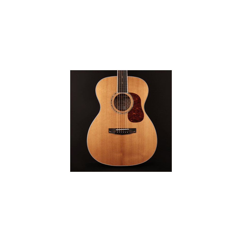 Cort GOLD Series O8 Acoustic Guitar | Perfect Tone & Rich Sound