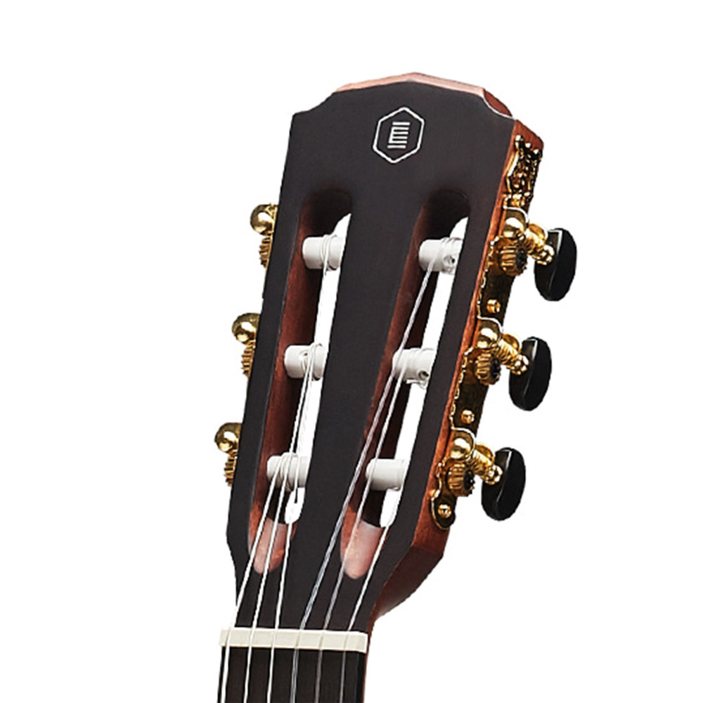 HEX Pollen Series C100M Classical Guitar | Turn Heads & Make Music Now