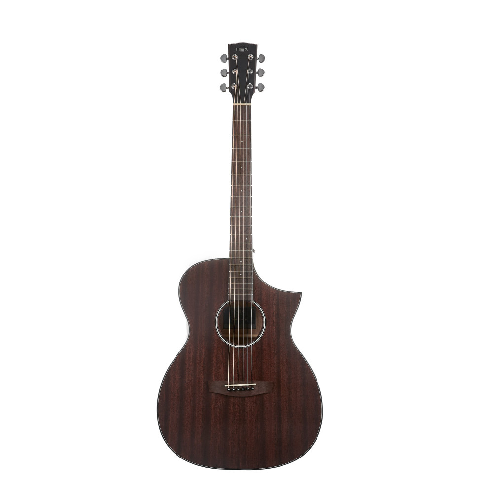 Hex Hive Series F120CM Acoustic Guitar