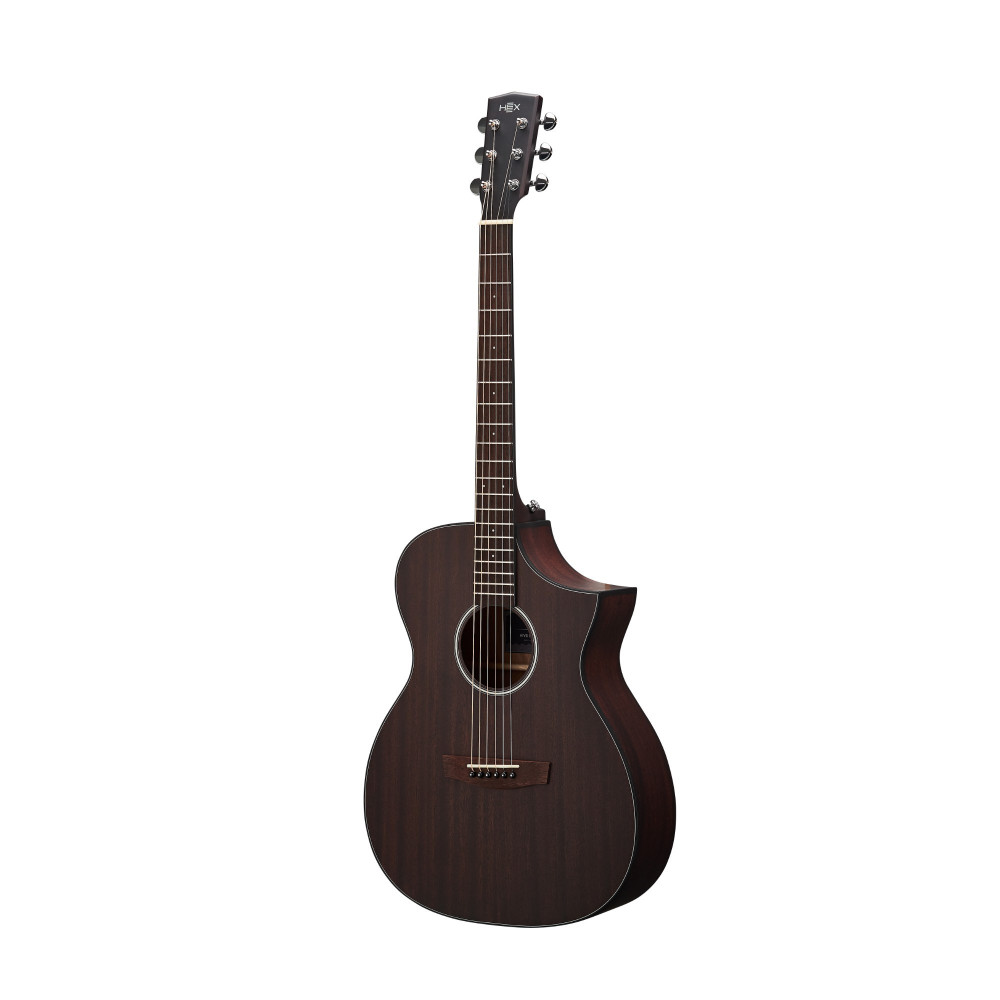 Hex Hive Series F120CM Acoustic Guitar