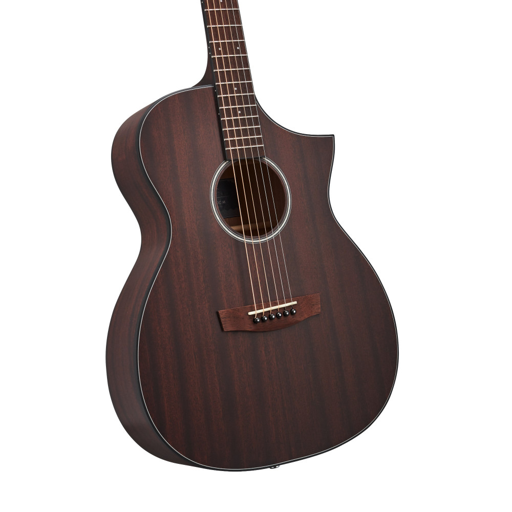 Hex Hive Series F120CM Acoustic Guitar