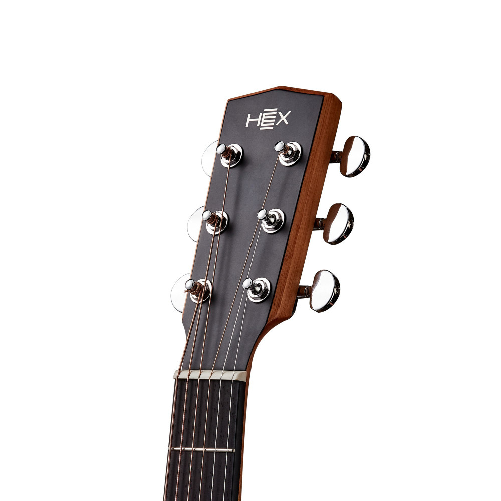 Hex Hive Series F120CM Acoustic Guitar