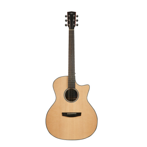 Hex Hive Series GA100CM Acoustic Guitar