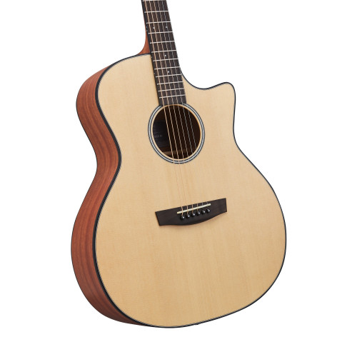 Hex Hive Series GA100CM Acoustic Guitar - A Resonant Tonal Experience | HEX