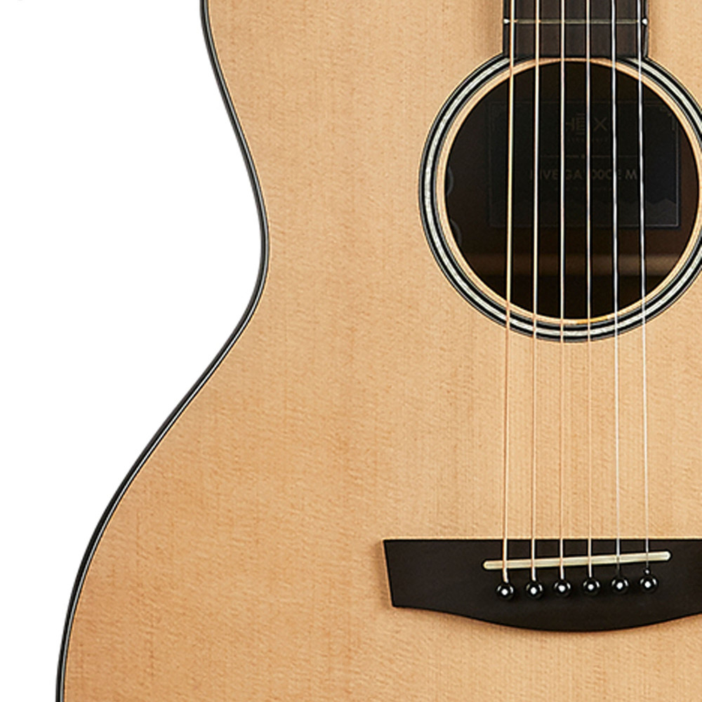 Hex Hive Series GA100CM Acoustic Guitar - A Resonant Tonal Experience | HEX