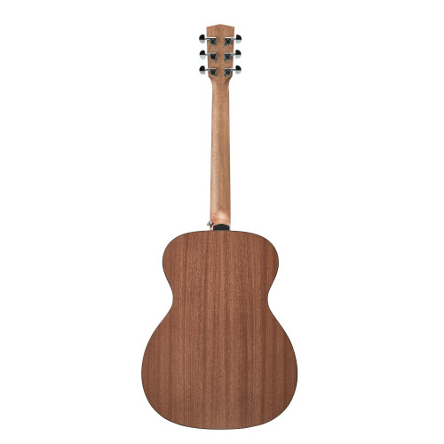 Hex Sting Series F200M Acoustic Guitar