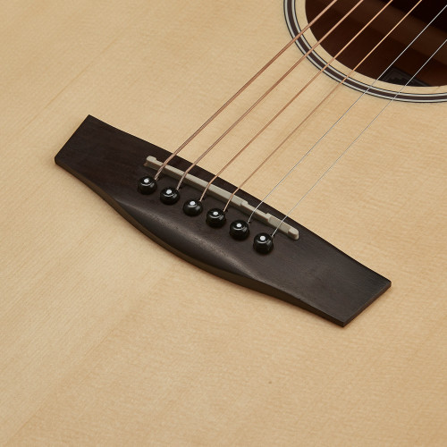 Hex Sting Series F200M Acoustic Guitar