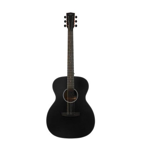 Hex Sting Series F200M/BT Acoustic Guitar