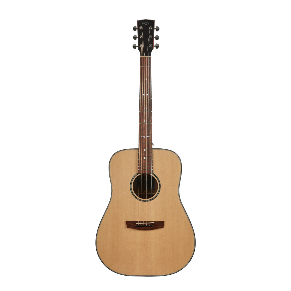 Hex Sting Series D300M Acoustic Guitar