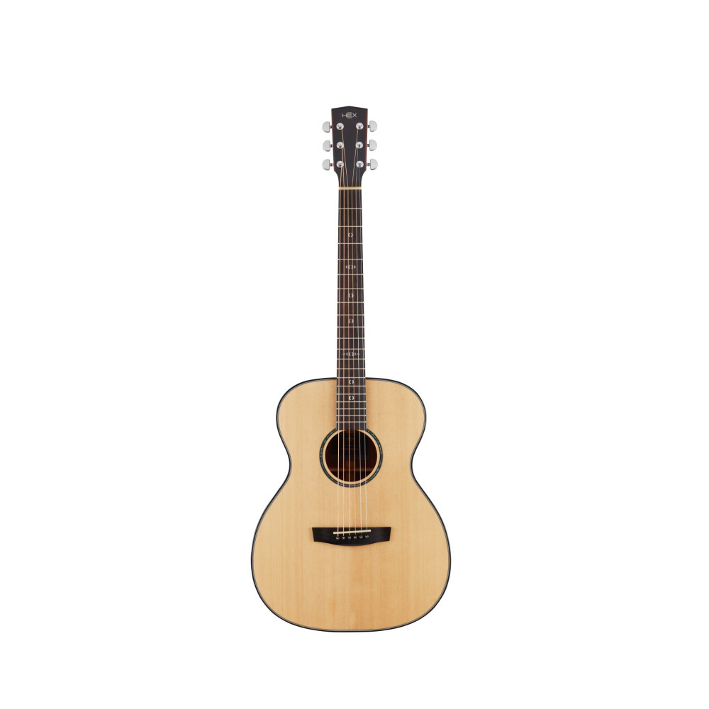 Hex Sting Series F300G Acoustic Guitar