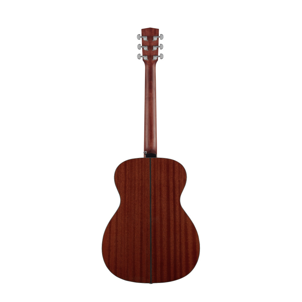 HEX Sting Series F300G Acoustic Guitar - Perfect Tone & Beauty | HEX