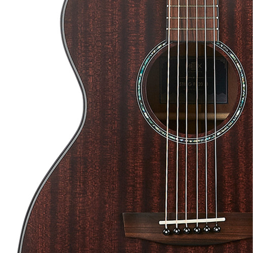 Hex Sting Series F320M Acoustic Guitar - Superior Tone & Craftsmanship