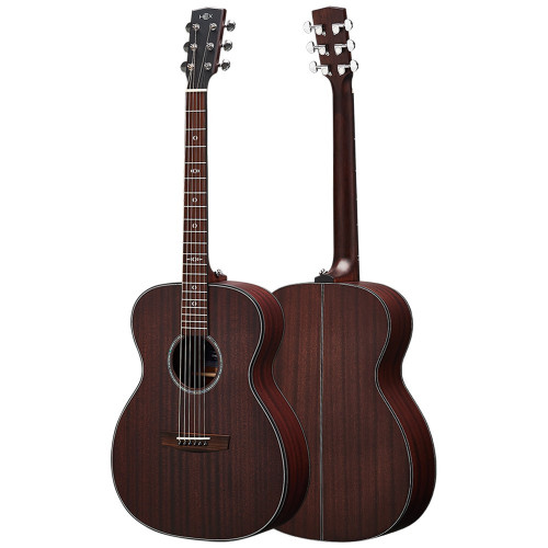 Hex Sting Series F320M Acoustic Guitar - Superior Tone & Craftsmanship